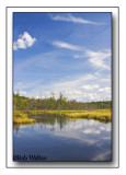 The Hidden Water Ways Reflect The Beauty Of Nature