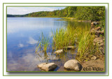 An Adirondack Stoney Shore Line