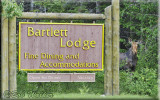The Bartlett Lodge Cow Moose