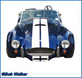 The Legendary Shelby Cobra