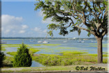 A View From Historic Bay Street