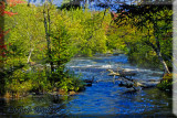Copper Trail Falls