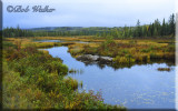 Costello Creek As Seen From The Bridge On Opeongo Road