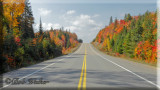 Highway 60 A Main Colorful Road Through The Park