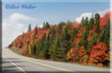 Highway 60 Also Known As The Corridor Road