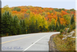 Highway 60 a.k.a. Corridor Road