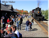 Disembarked Passengers At Tobyhanna Station Looking Things Over