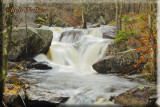 Greenwood State Forest And Picnic Area In Up State Northern New York
