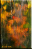 Fall Reflections