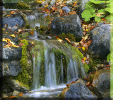 Small Falling Stream