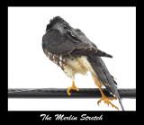 The Merlin Stretch
