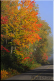 Foggy Morn On Opeongo Road