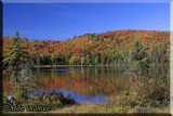 The Picturesque Brewer Lake