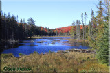 An Algonquin Fall Scenic Captured From Along The Corridor Highway