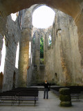 The ruins of the monastery ...