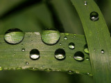 water droplets