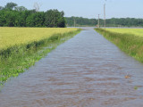 9 June 2008 Flood of Elnora Area Day 1