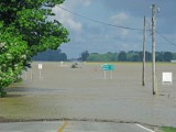 Looking West Hwy 58