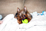 Holly with Favorite Toy