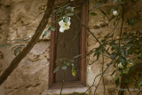 Garden Window, Lecce, Italy