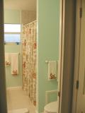 hall bathroom2.JPG