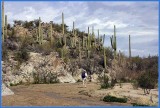 Honeybee Canyon Trail