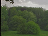 Back to the present:  As soon as we walked away from the parking lot, the rains hit...yep, still in Michigan