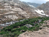 Trailside Meadow