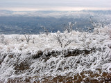 Frost and Mission Ridge Area