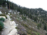 San Jacinto Trail
