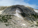 Talus Laden Medicine Bow