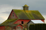Mossy Red Barn