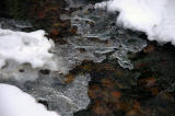 Ice and Snow on Creek