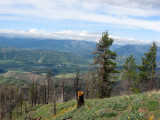 Wenatchee River Valley from Tibbetts