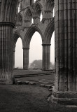 Rievaulx Abbey