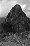 Inca-ruines