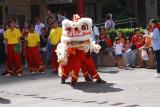 Chinese New Year - Lion Dance