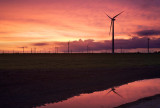 Windmills & sunset