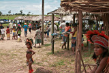 Along The Amazon