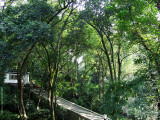 Hupao Fountain
