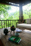 Hotel Ibah, Ubud - balcony