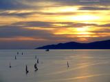 Sailing at English Bay