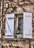 White Shutters