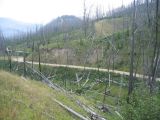 Blacktail Plateau Drive 5