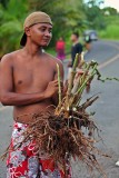 Kava to make sakau. IMG_3728.jpg