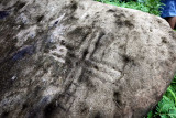 Enveloped cross on one of the boulders. IMG_6817.jpg
