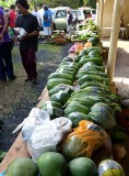 Fruits and vegetables to be judged. IMG_7852.jpg