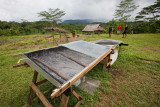 Drying station for dried fish. IMG_0110.jpg
