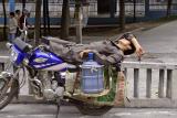 Taking a snooze on the back of a motorcycle.jpg