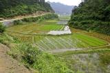 Road to Ping Shan Po, Hunan, China.